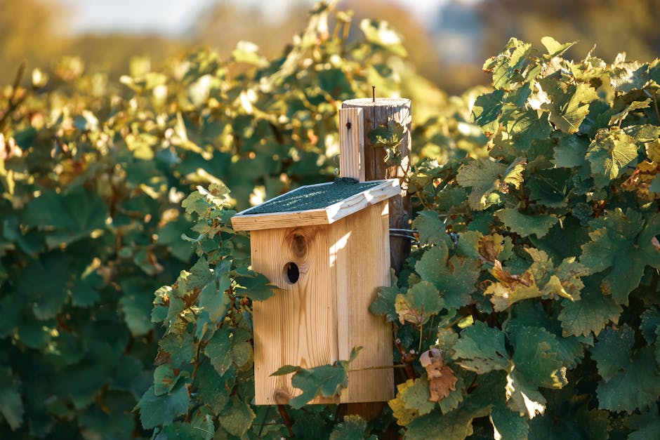 "Hoe maak je een DIY Verticale Tuin met een Beperkt Budget"